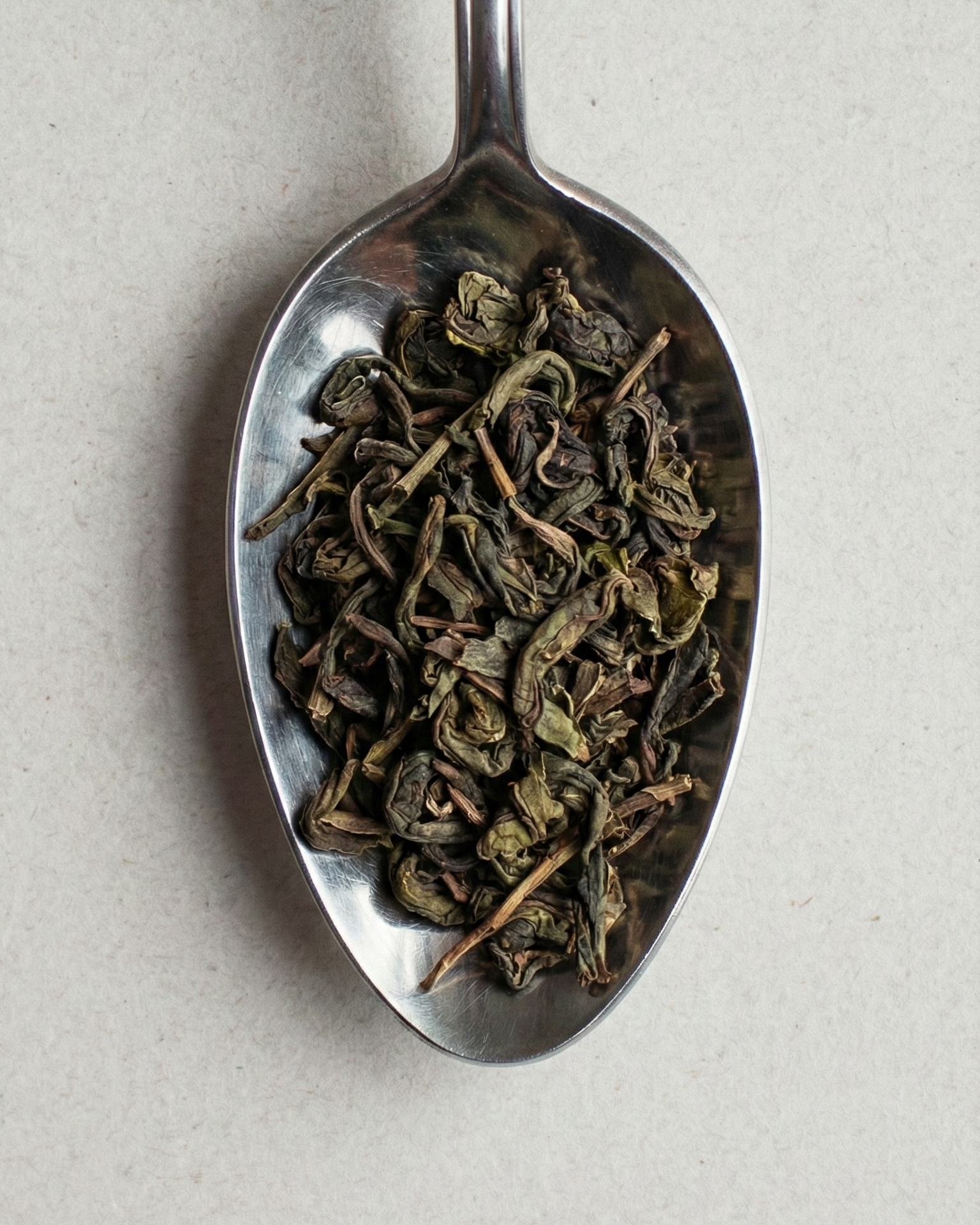 Tea leaves on a metal spoon against a light background